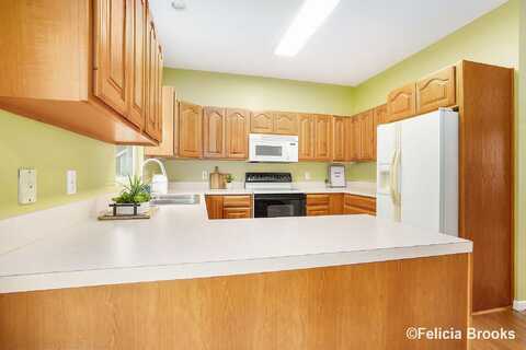 Cameron, ALLENDALE, MI 49401