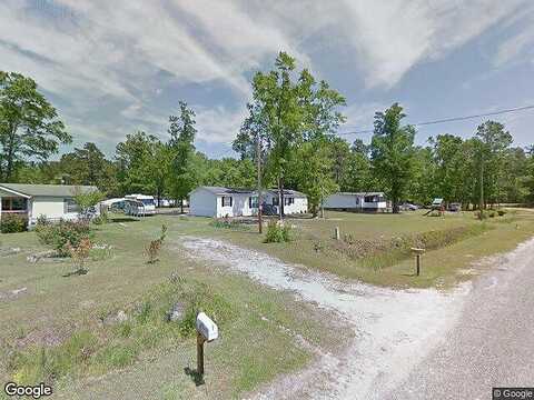 Mockingbird, MANNING, SC 29102