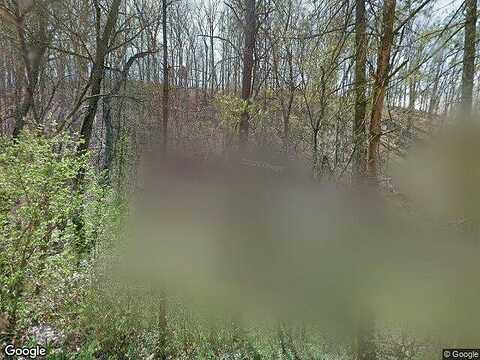 Wonder Valley, BRISTOL, TN 37620