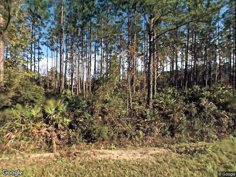 Avocado, BUNNELL, FL 32110