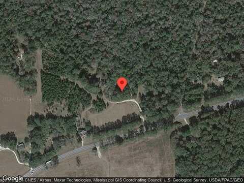Possum, PICAYUNE, MS 39466