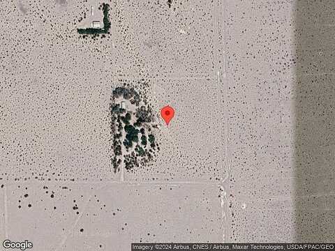 Bettles, AMARGOSA VALLEY, NV 89020