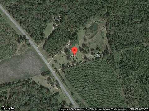 Newington, SYLVANIA, GA 30467