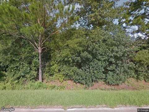 Swamp Creek, WHIGHAM, GA 39897