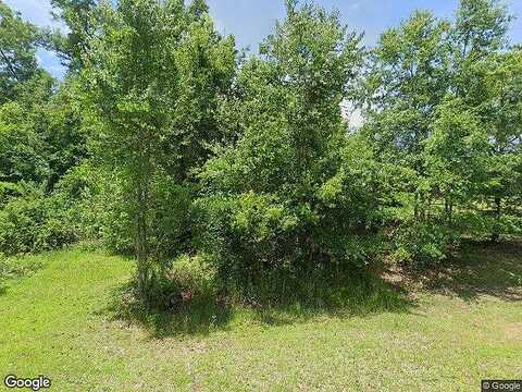 Case, SYLVESTER, GA 31791
