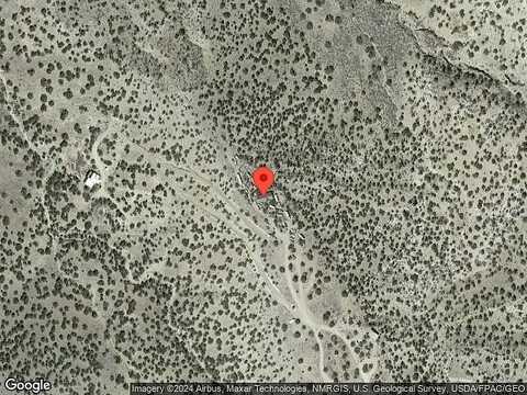 Wild Dog, CERRILLOS, NM 87010