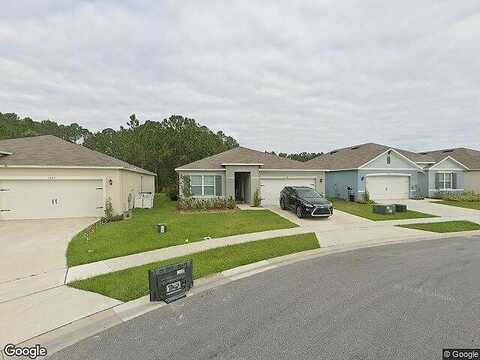 Iguana, DAVENPORT, FL 33897