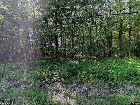 Cherry Lane Rd, SCOTRUN, PA 18355