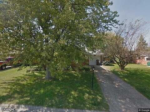Sugar Maple, GREENVILLE, OH 45331