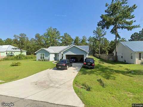 Pelican, TOWNSEND, GA 31331