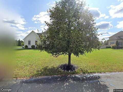 Sunflower, LUMBERTON, NJ 08048