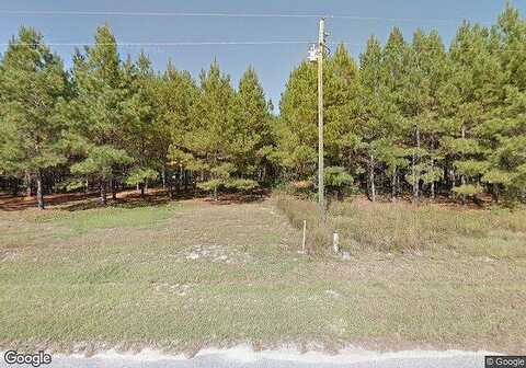 Loblolly, NEWINGTON, GA 30446