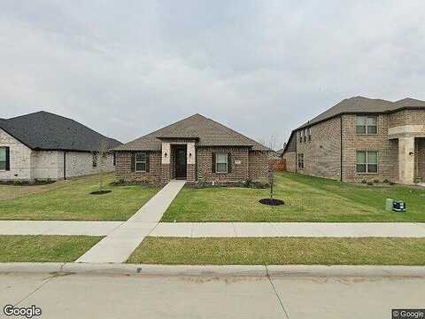 Lady Bird, WAXAHACHIE, TX 75165