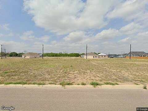 Carlos, ALAMO, TX 78516