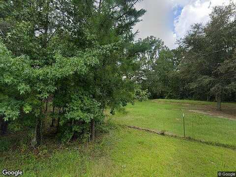 Live Oak, TOWNSEND, GA 31331