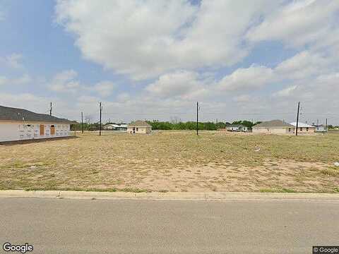 Carlos, ALAMO, TX 78516