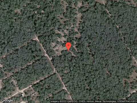 Tiger, CALDWELL, TX 77836