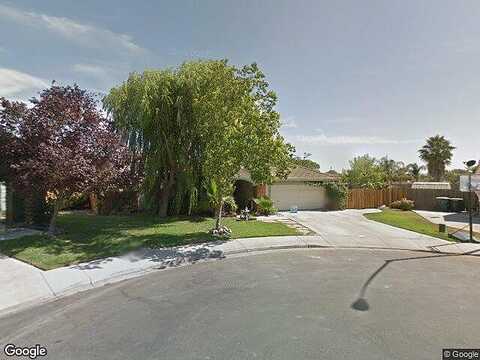 Bluebill, NEWMAN, CA 95360
