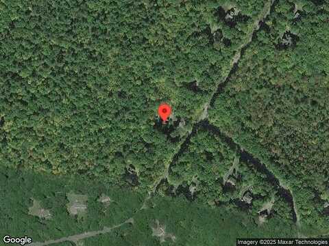 Birch Leaf, MILFORD, PA 18337
