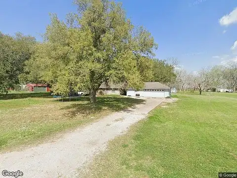 Daffodil, WHARTON, TX 77488