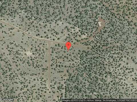 Canvasback, WILLIAMS, AZ 86046
