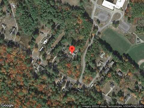 Raccoon, FARMINGTON, NH 03835