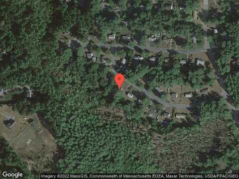 Sycamore, TOWNSEND, MA 01469