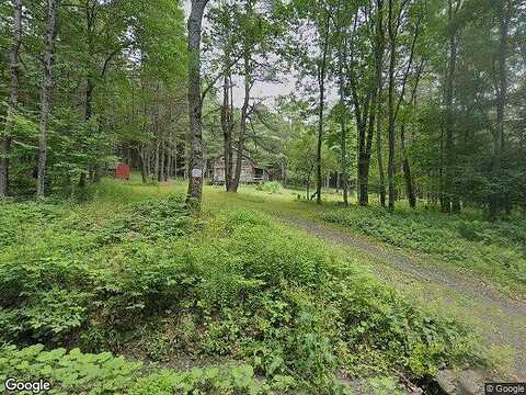 Ed Herman, SCHENEVUS, NY 12155