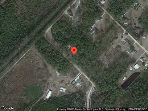 Japonica, JESUP, GA 31546
