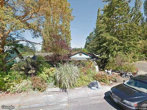Iris, BELLINGHAM, WA 98229
