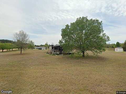 Daisy, DILLON, SC 29536