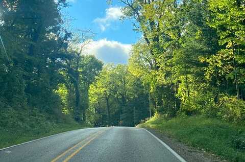 Coon Hollow, THREE RIVERS, MI 49093