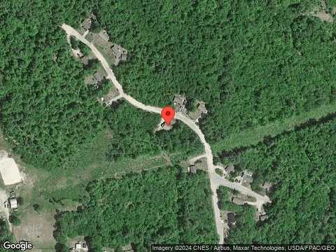 Birch Tree, CENTER OSSIPEE, NH 03814