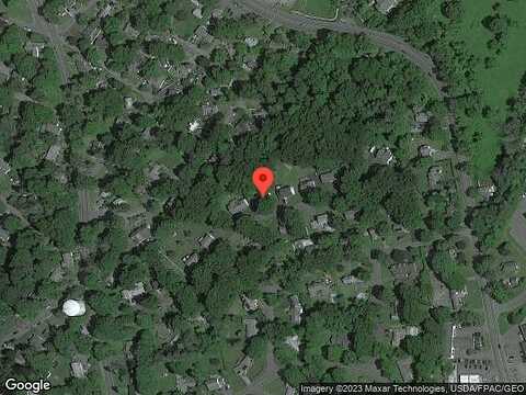 Cedar Tree, SPARTA, NJ 07871