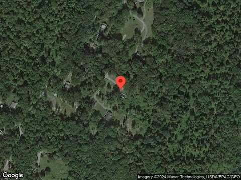 Deer, STONE RIDGE, NY 12484