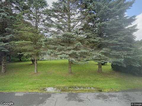 Park, ONEONTA, NY 13820