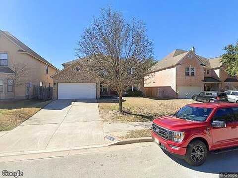 Bald Cypress, CEDAR PARK, TX 78613