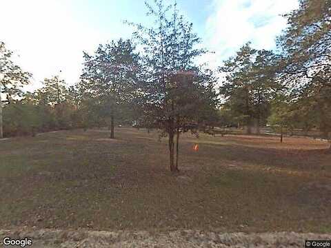 Pinder, WAGENER, SC 29164