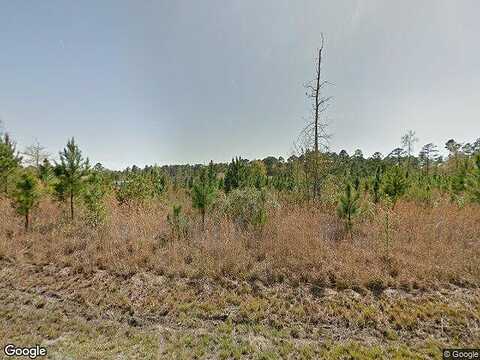 Turkey, BRUNSWICK, GA 31525
