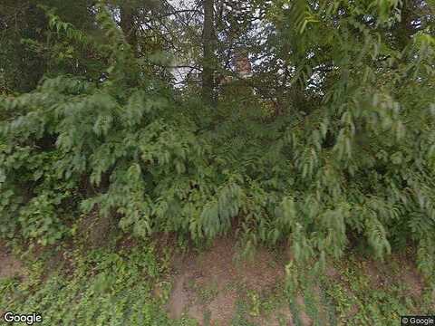 Alum Spring, PULASKI, VA 24301