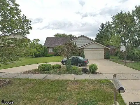 Camelia, ORLAND PARK, IL 60462