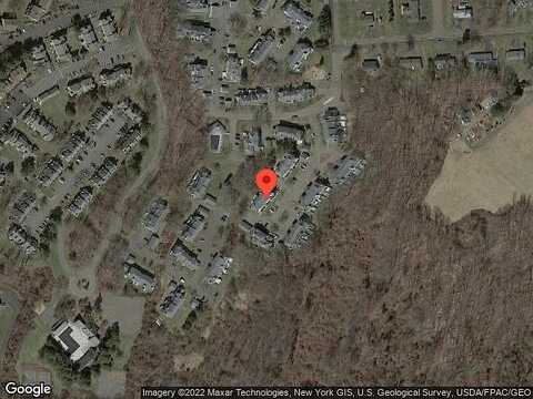 Pheasant, BRANFORD, CT 06405