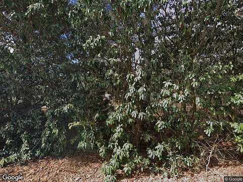 Shelnut, JENKINSBURG, GA 30234