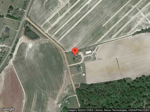 Wildflower, TIFTON, GA 31793