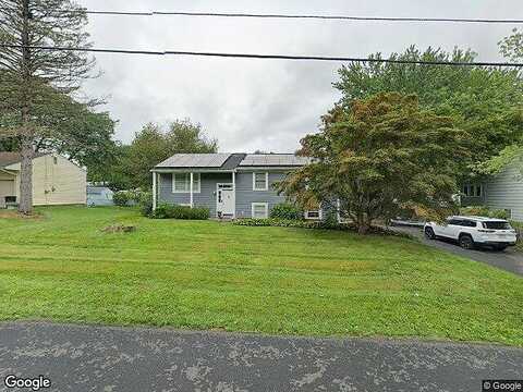 Split Tree, NEW WINDSOR, NY 12553