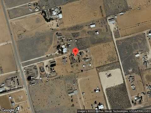 Pecan, GARDENDALE, TX 79758