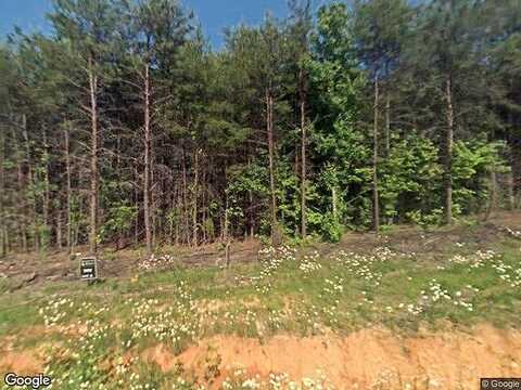 Rambler, BLACKSBURG, SC 29702