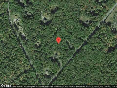 Taras Shevchenko, GLEN SPEY, NY 12737