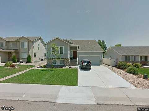Alder, JOHNSTOWN, CO 80534