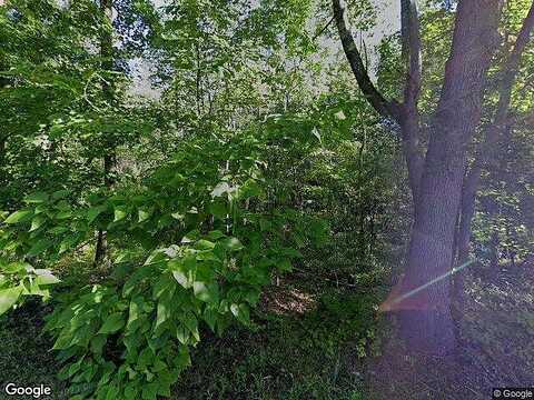 Cardinal, HYDE PARK, NY 12538